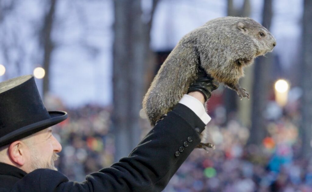 ¿Qué es el Día de la Marmota?; esta fue la predicción de Phil para el invierno