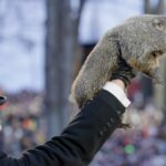 ¿Qué es el Día de la Marmota?; esta fue la predicción de Phil para el invierno