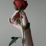 Entre pétalos y espinas