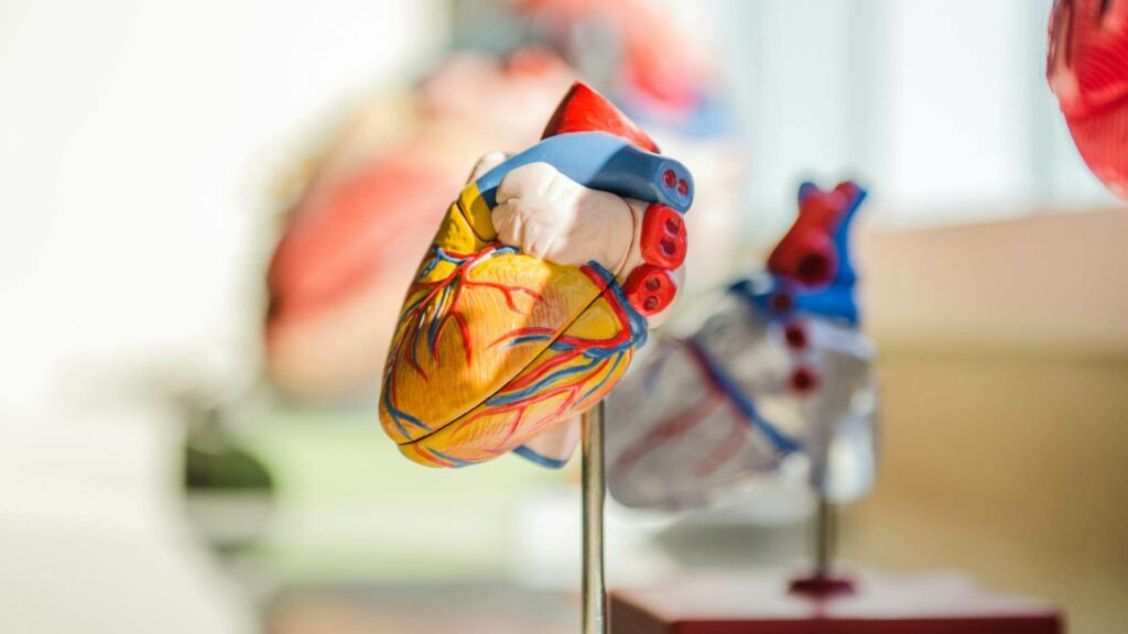 Pacientes trasplantadas piden combatir tabúes que frenan la donación de órganos en México - pacientes-trasplantadas-piden-combatir-tabues-que-frenan-la-donacion-de-organos-en-mexico-1-1024x576