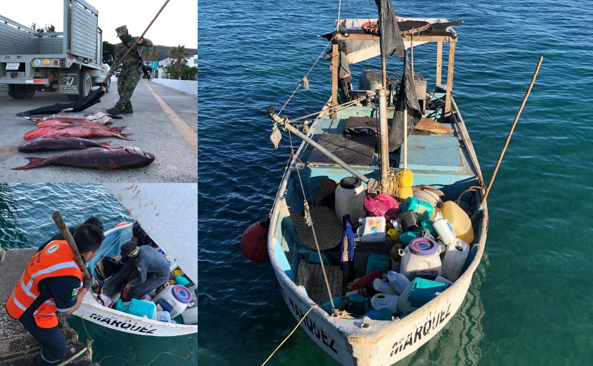 Marina retiene embarcación en Islas Marías por violar restricción de pesca - pescados-objetos-y-embarcacion-asegurada-en-anp-islas-marias