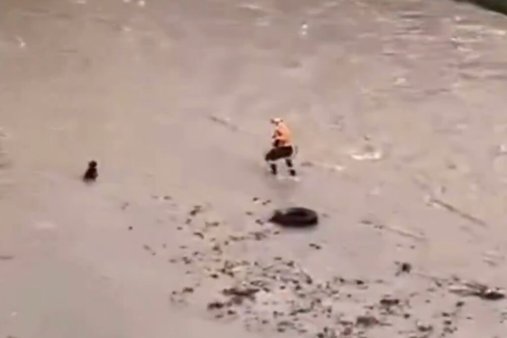 Policía de Perú encuentra cuerpo de rescatista que murió al intentar salvar a un perro