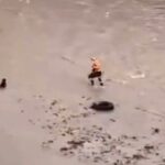 Policía de Perú encuentra cuerpo de rescatista que murió al intentar salvar a un perro
