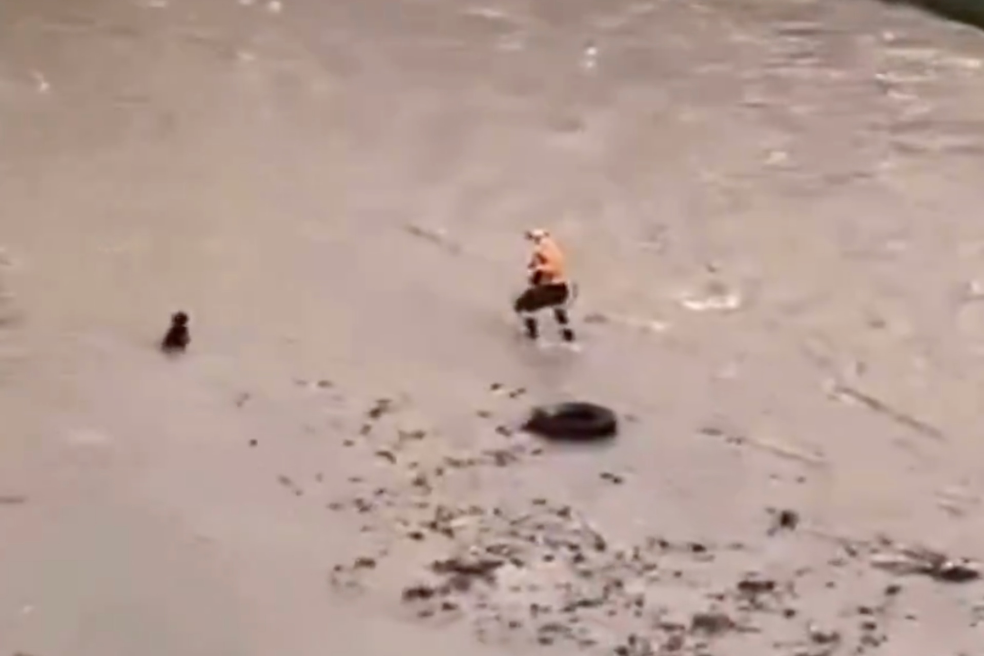 Rescatista muere tras intentar salvar a un perro en Perú