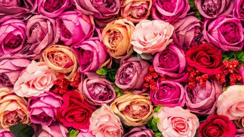 San Valentín dejará beneficios en México de 3 mil 520 millones de dólares, según estudio - san-valentin-dejara-beneficios-en-mexico-de-3-mil-520-millones-de-dolares-segun-estudio-1024x576