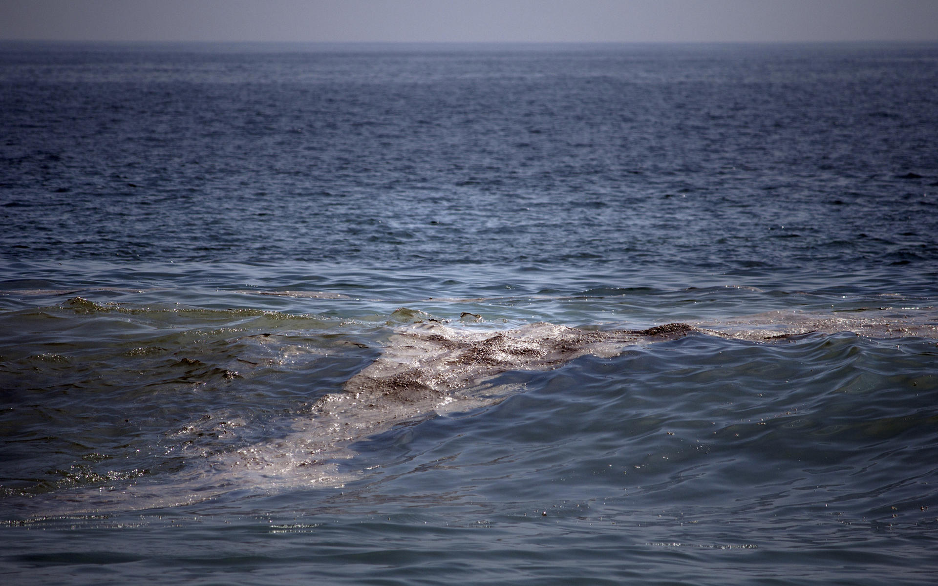 Comunidades denuncian contaminación por petróleo en playas de Veracruz y Tabasco