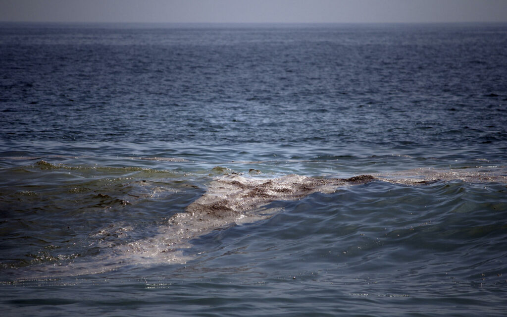 Greenpeace: mancha de crudo en el golfo de México tiene “impacto severo” en el ecosistema