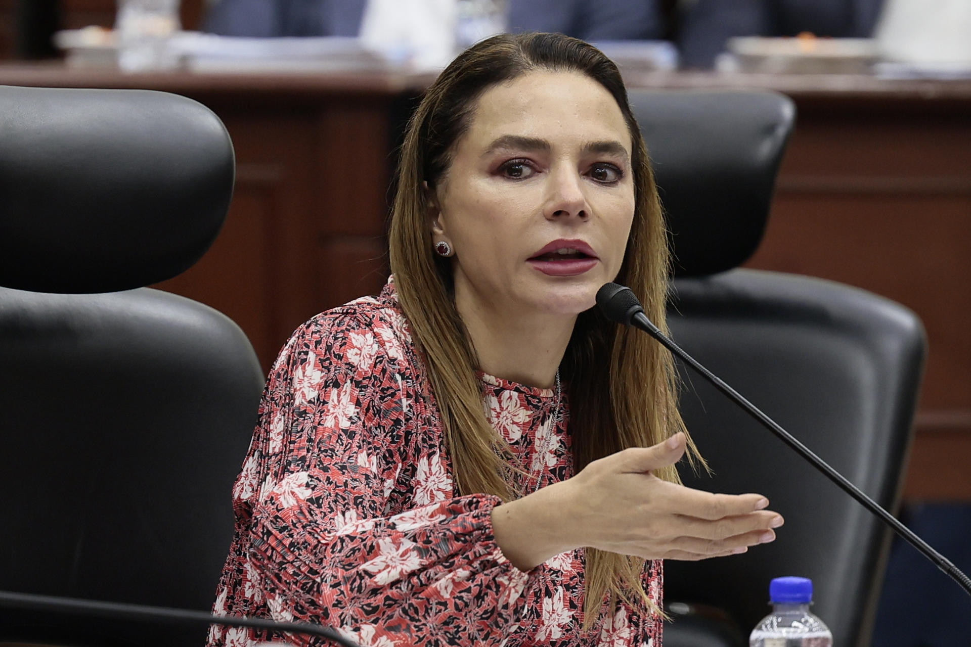 Actos anticipados de campaña, responsabilidad de estados y de OPLES locales: Carla Humphrey