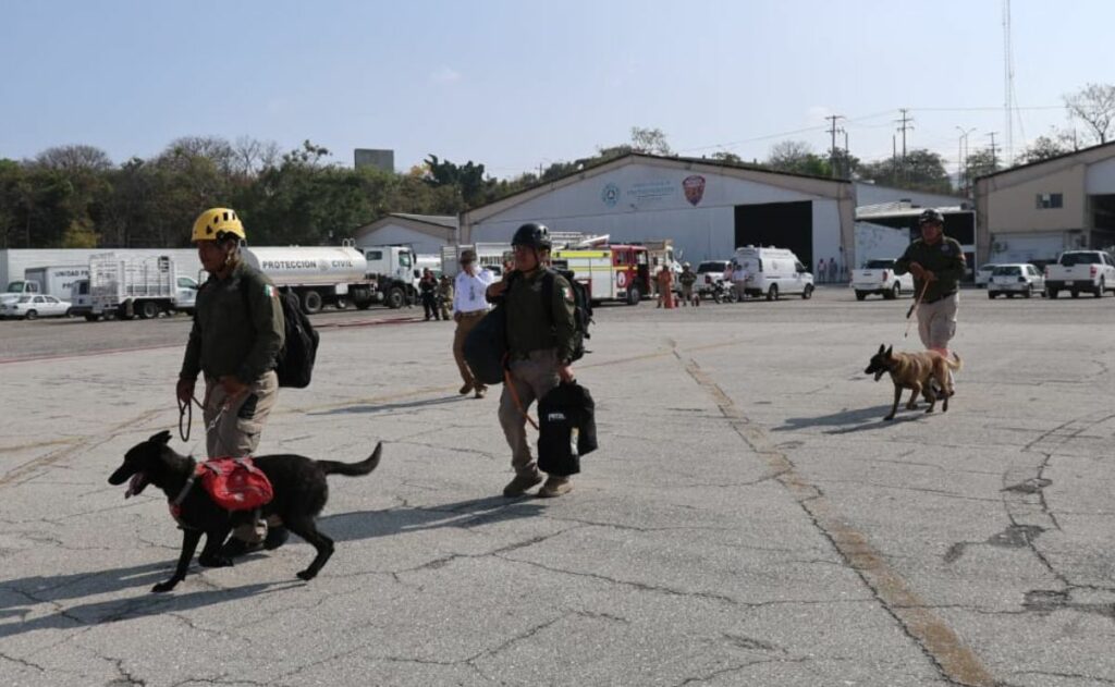 Refuerzan búsqueda de niña de 9 años en Chiapas con binomios caninos