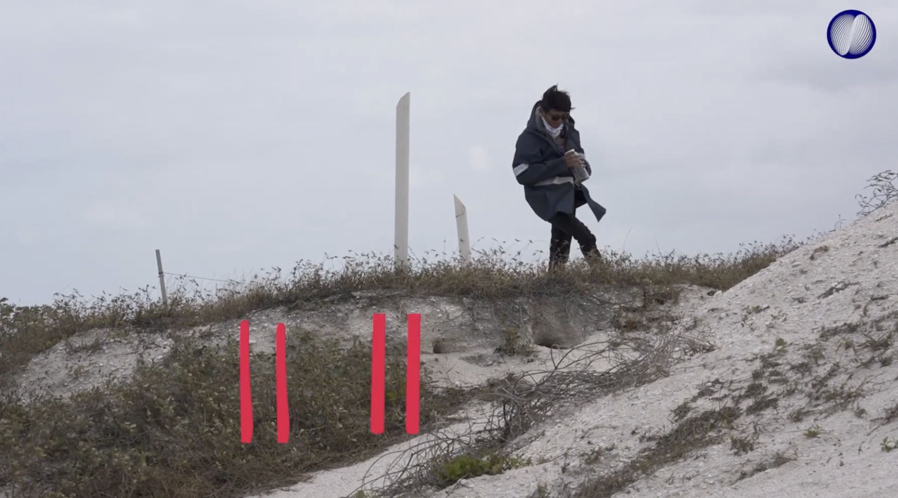 Dunas costeras, primera defensa de las playas mexicanas Dunas costeras, primera defensa de las playas mexicanas