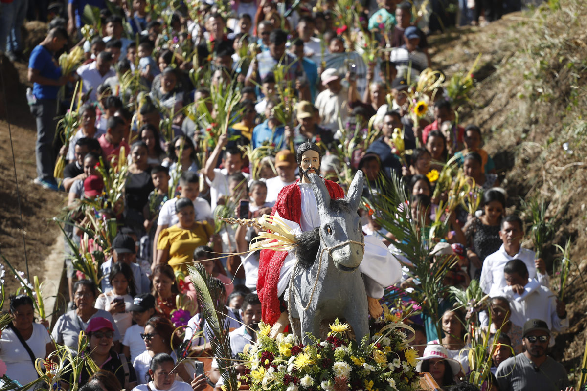 Católicos de América Latina piden en el Domingo de Ramos acabar con las guerras e injusticias