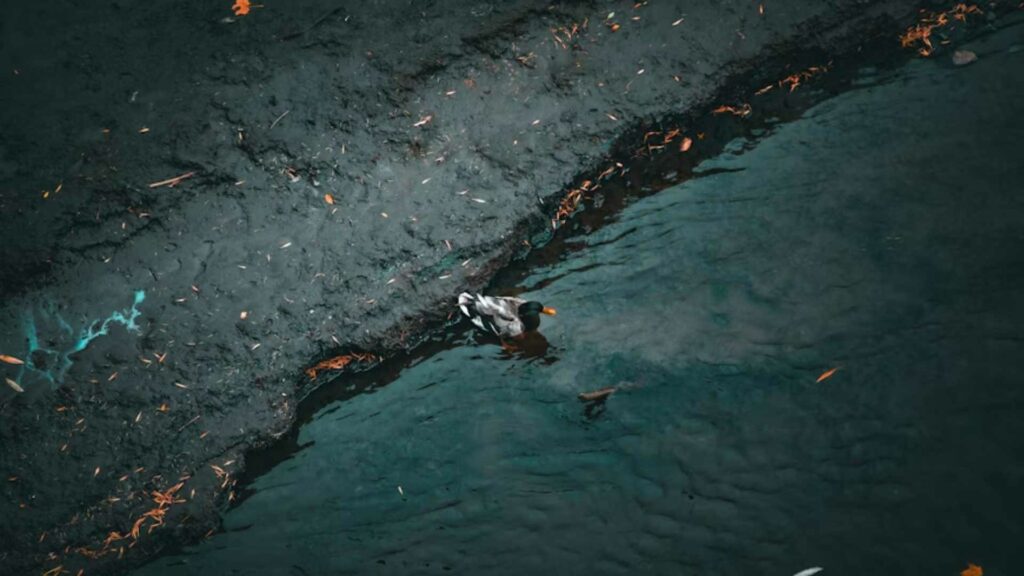 Comunidades denuncian contaminación por petróleo en playas de Veracruz y Tabasco - comunidades-denuncian-contaminacion-por-petroleo-en-playas-del-este-de-mexico-1024x576