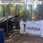 Decomisan 300 kilos de metanfetamina en el estado de Guerrero