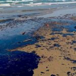 Localizan origen de derrame de petróleo en Veracruz; ya fue contenido