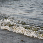 Derrame de hidrocarburo en el Golfo: Anuncian apoyos a pescadores por 35 mdp y 128 toneladas de residuos recolectados