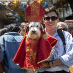 En Nicaragua, dueños presentan a sus mascotas ante San Lázaro para pedir por su salud