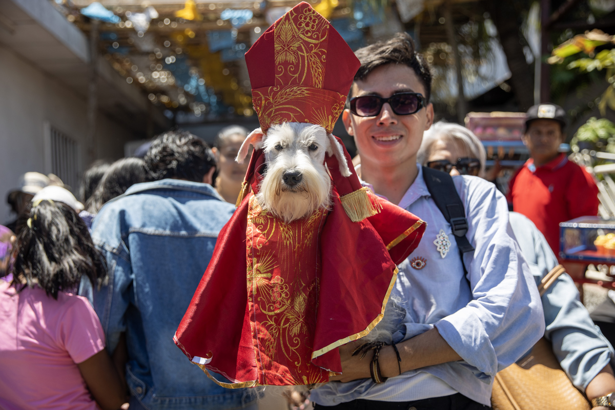 En Nicaragua, dueños presentan a sus mascotas ante San Lázaro para pedir por su salud
