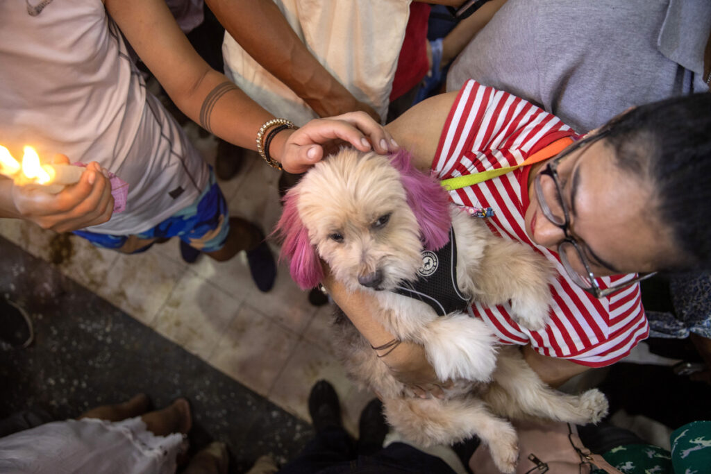 En Nicaragua, dueños presentan a sus mascotas ante San Lázaro para pedir por su salud - en-nicaragua-duenos-presentan-a-sus-mascotas-ante-san-lazaro-para-pedir-por-su-salud-5-1024x683