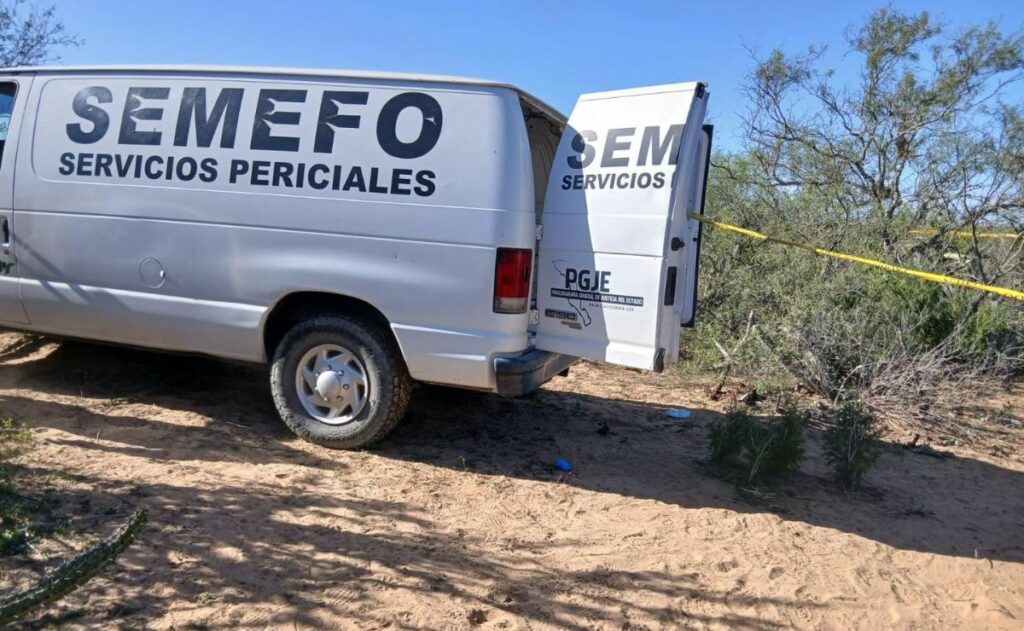 Llamada anónima revela fosa clandestina en BCS; hallan cuerpos y restos humanos