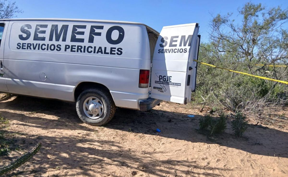 Llamada anónima revela fosa clandestina en BCS; hallan cuerpos y restos humanos