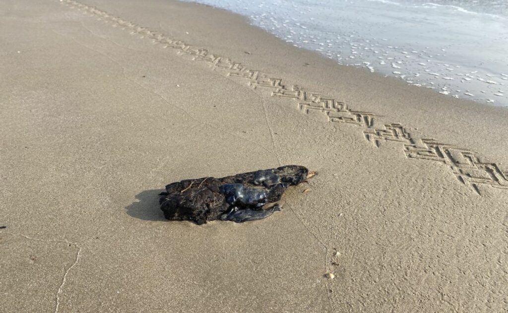 Hidrocarburo por derrame en Tabasco llega a Tamaulipas