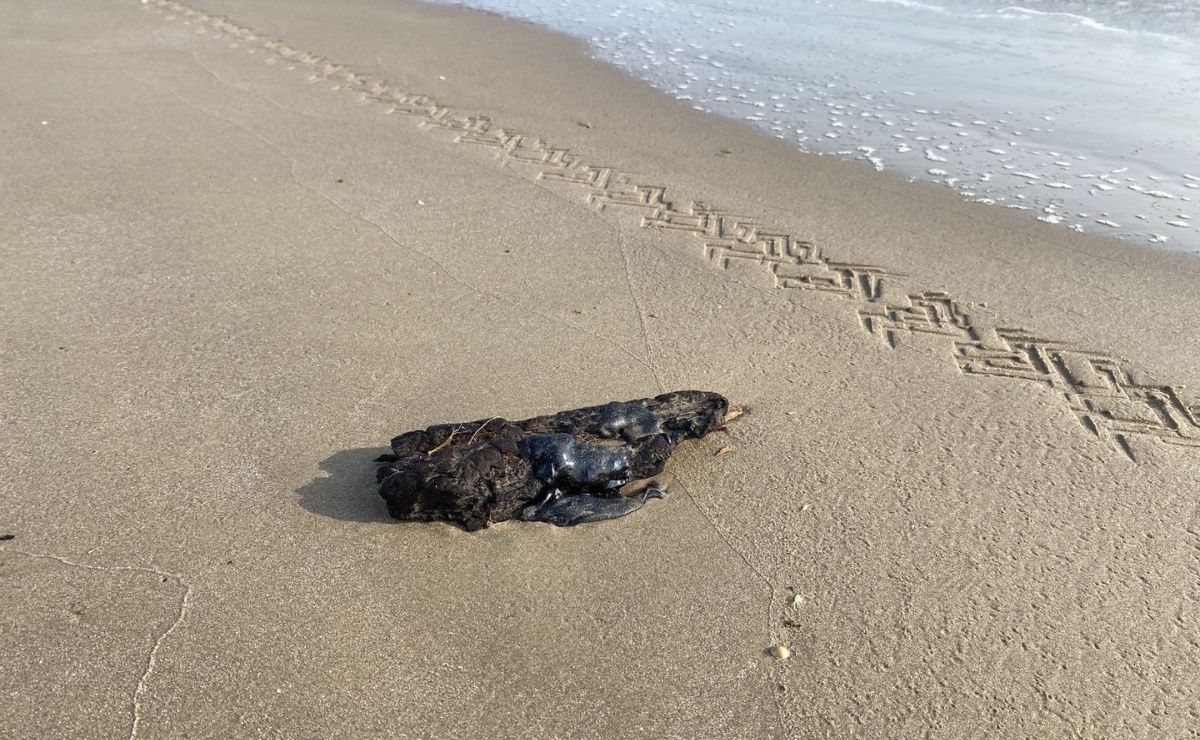 Hidrocarburo por derrame en Tabasco llega a Tamaulipas Hidrocarburo por derrame en Tabasco llega a Tamaulipas