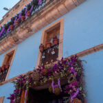 Guanajuato celebra el tradicional Día de las Flores 2026 - img-8314-150x150