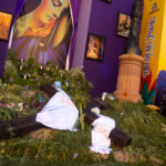 Guanajuato celebra el tradicional Día de las Flores 2026 - img-8421-150x150