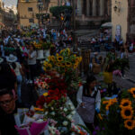 Guanajuato celebra el tradicional Día de las Flores 2026 - img-8429-150x150