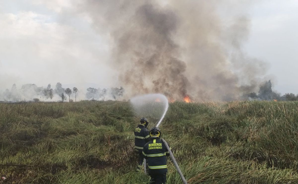 Incendio en Xochimilco arrasa con casi 8 hectáreas de vegetación