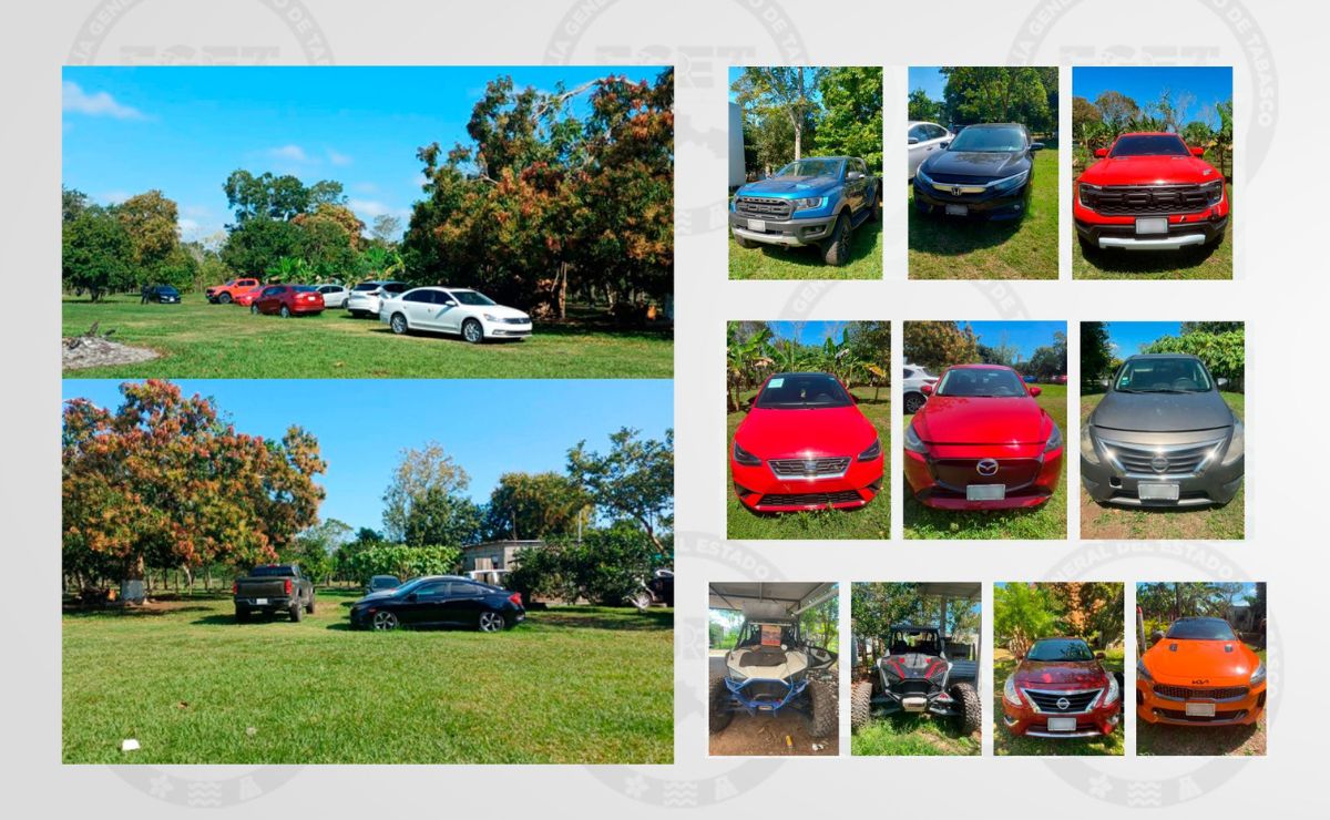 Golpe a La Barredora: detienen a dos mujeres con arsenal y autos Golpe a La Barredora: detienen a dos mujeres con arsenal y autos