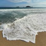 Semana Santa 2026: ¿Cuáles son las playas aptas para vacacionar en México?