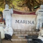 Marina y SSPC neutralizan laboratorio clandestino en El Tule, Culiacán