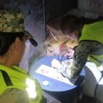 Marina decomisa 314 litros de precursores químicos en recinto portuario de Topolobampo, Sinaloa