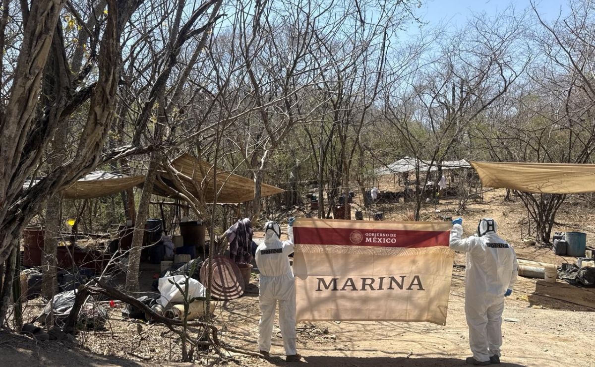 Marina neutraliza narcolaboratorio en Sinaloa