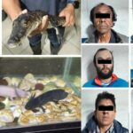 Detienen a narcomenudistas en CDMX; tenían un cocodrilo, ajolotes y una iguana