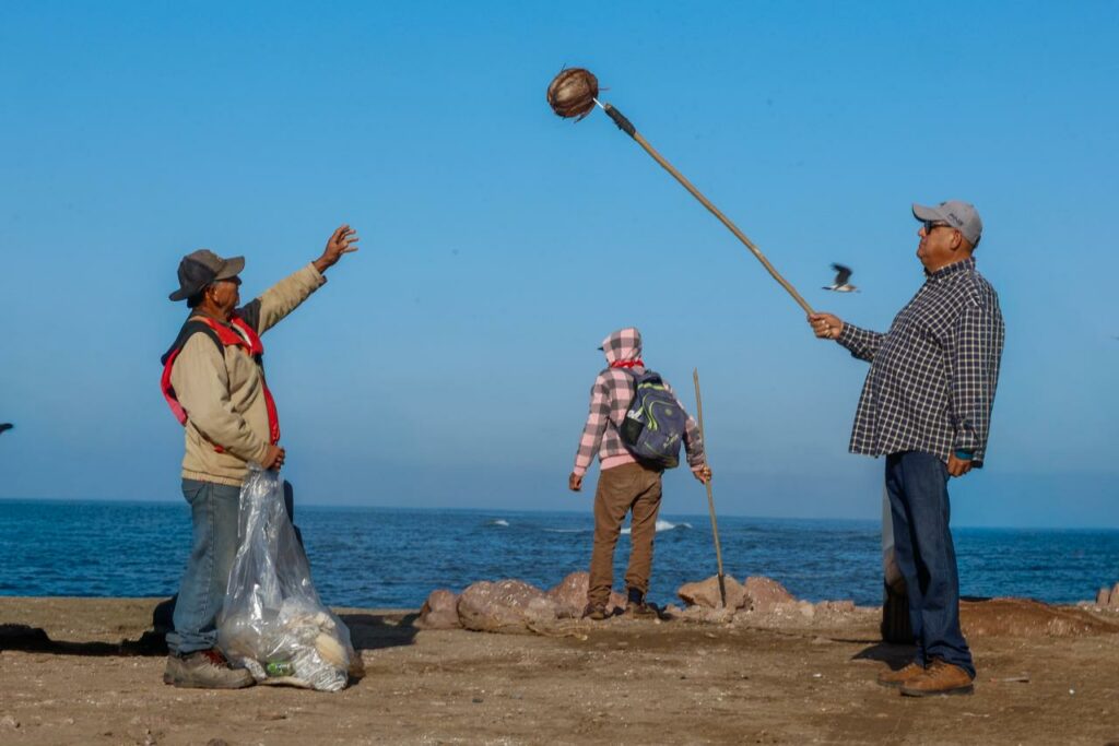 “Sinaloa, Limpia tus Playas”: realizan jornada en 11 municipios costeros - sinaloa-limpia-tus-playas-realizan-jornada-en-11-municipios-costeros-3-1024x683