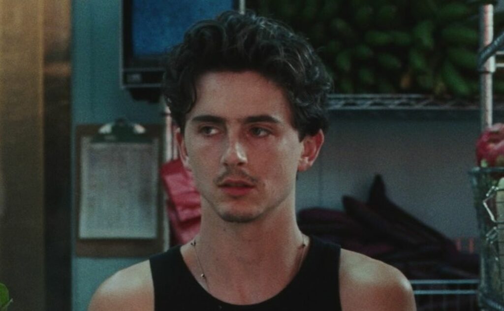 Elisa Carrillo y Alondra de la Parra responden a críticas de Timothée Chalamet sobre la ópera y ballet