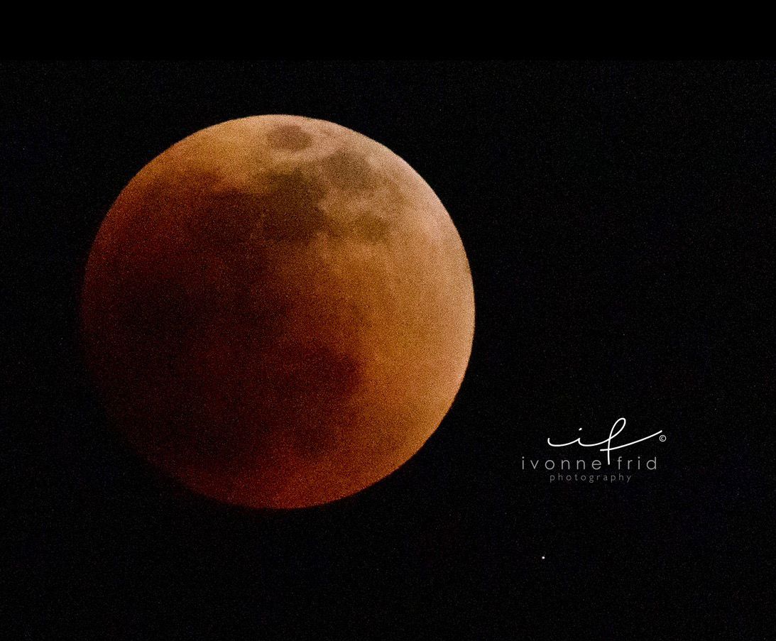 Esta madrugada eclipse total de Luna o “Luna de sangre” Esta madrugada eclipse total de Luna o “Luna de sangre”