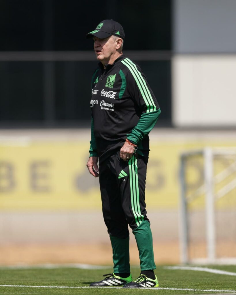 Involución tricolor - whatsapp-image-2026-03-25-at-13121-pm-819x1024