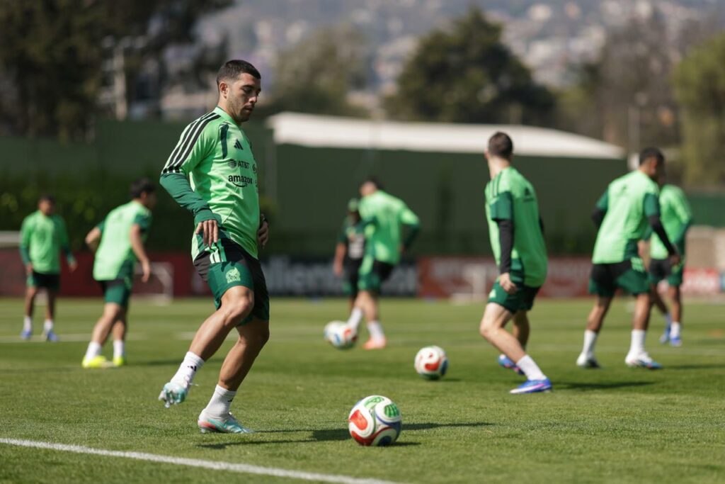 Involución tricolor - whatsapp-image-2026-03-25-at-13216-pm-1024x683