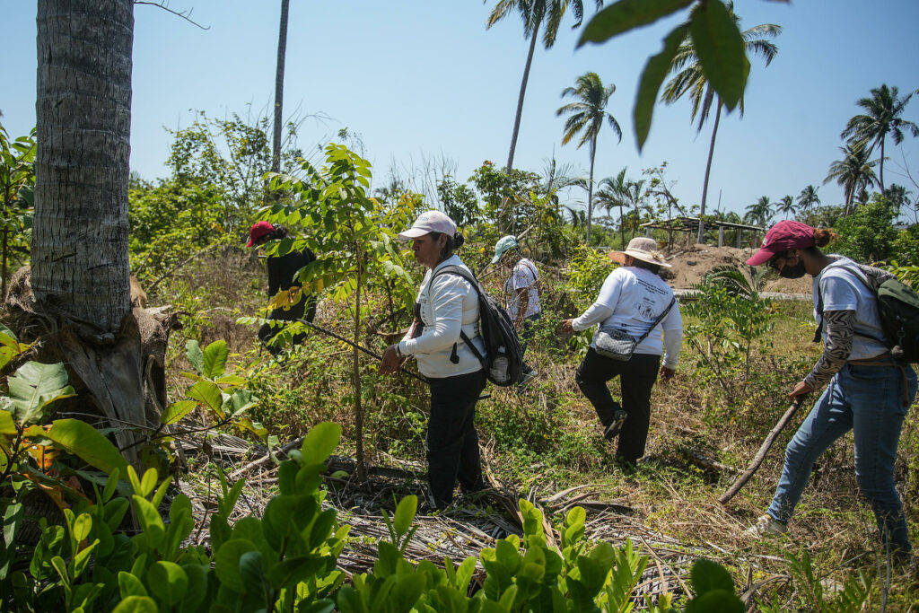 AI alerta del deterioro de derechos humanos y crisis de desaparecidos en México