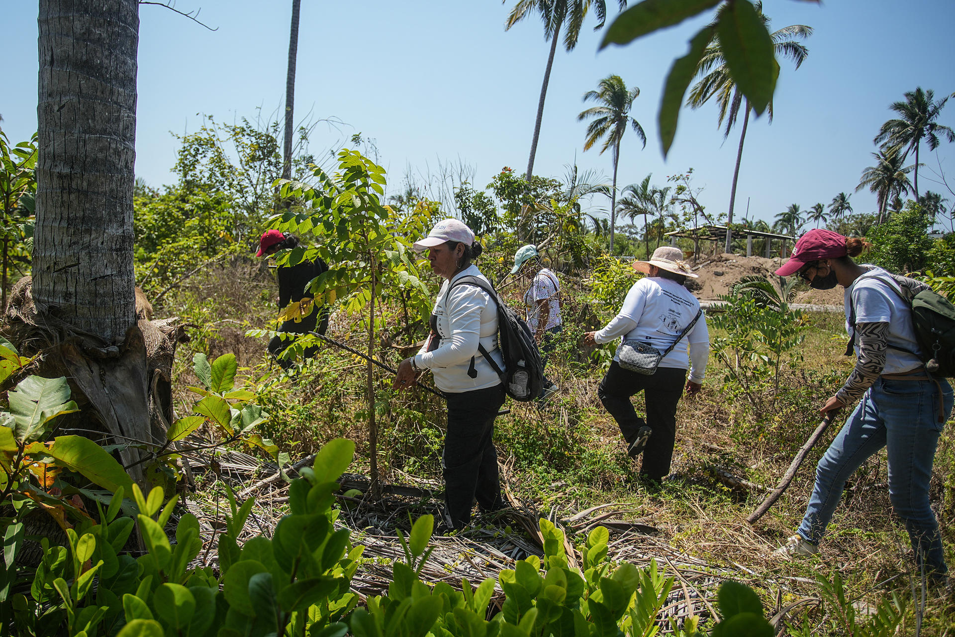 AI alerta del deterioro de derechos humanos y crisis de desaparecidos en México