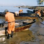 Recogen 889.4 toneladas de hidrocarburo en 48 playas del Golfo de México tras emanaciones