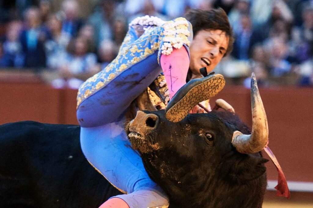Video: Roca Rey sufre cornada en La Maestranza de Sevilla