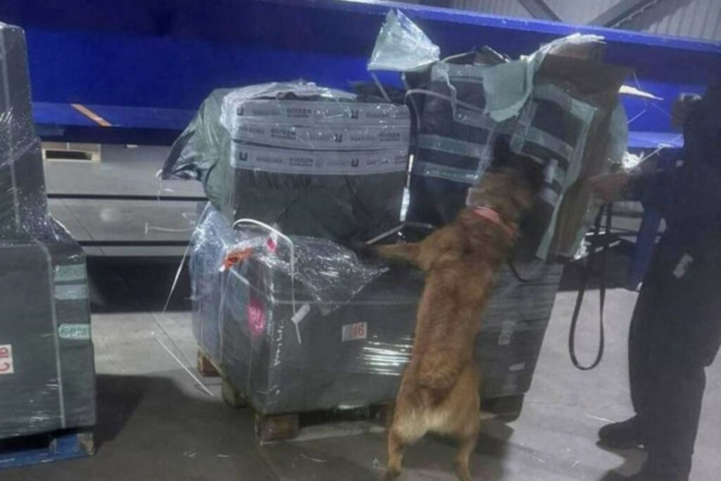 Aseguran casi dos millones de cigarros ilegales en el AICM provenientes de Asia