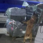 Aseguran casi dos millones de cigarros ilegales en el AICM provenientes de Asia