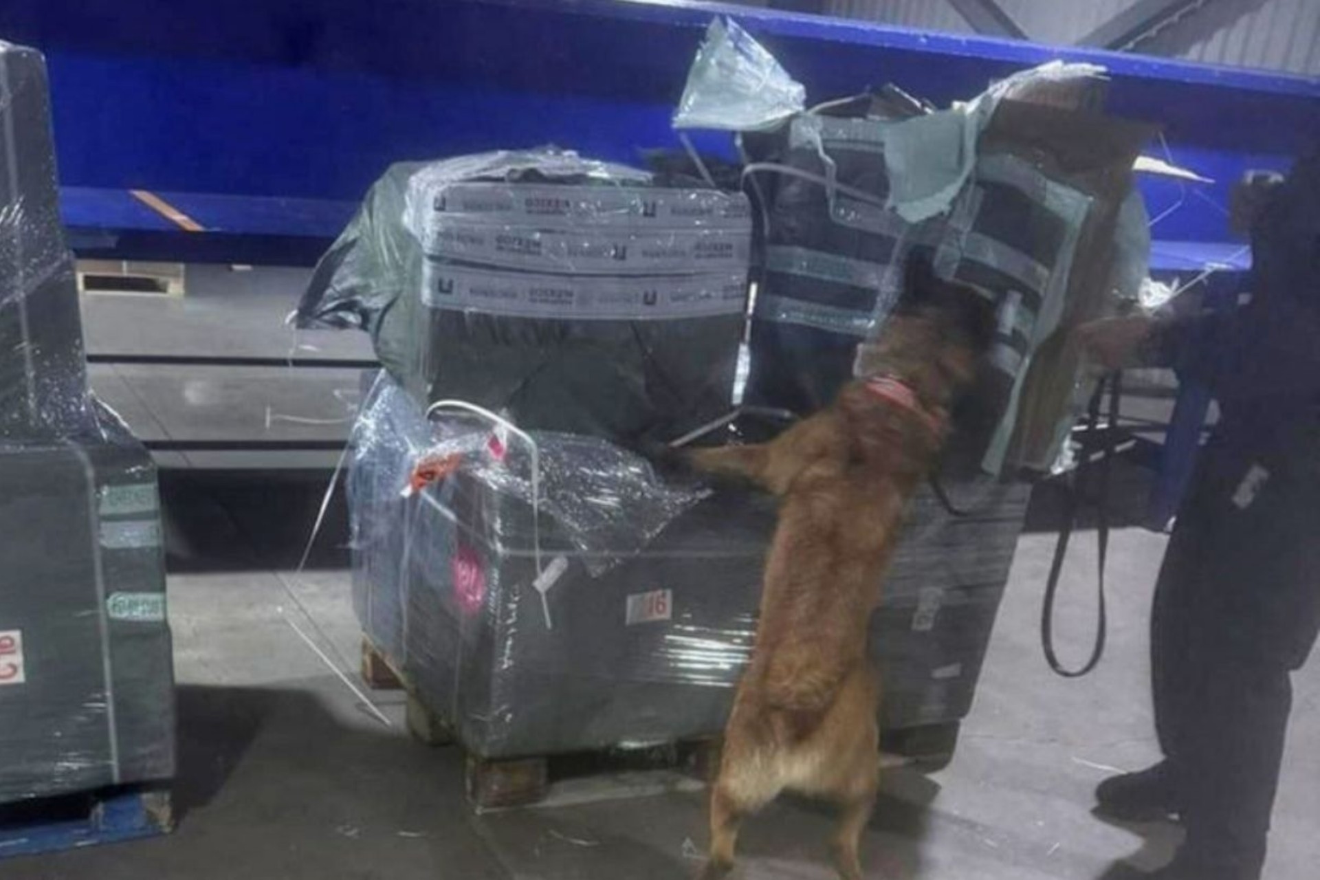 Aseguran casi dos millones de cigarros ilegales en el AICM provenientes de Asia