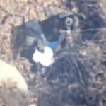 Así fue la detención del ‘Jardinero’, líder del CJNG; fue seguido por 19 meses