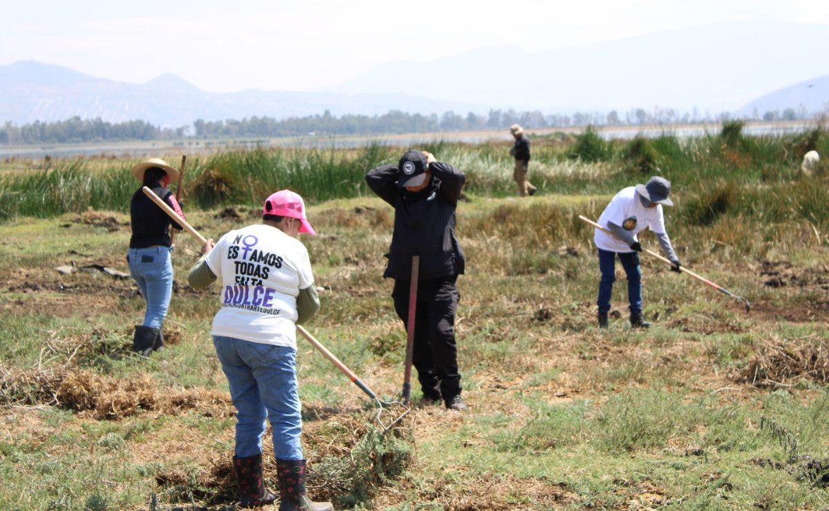 Hallan 53 indicios forenses en lagos de Tláhuac y Chalco Hallan 53 indicios forenses en lagos de Tláhuac y Chalco